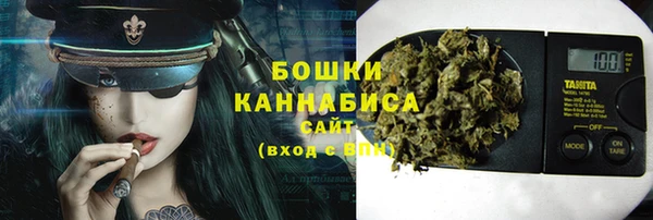 ГАЛЛЮЦИНОГЕННЫЕ ГРИБЫ Арсеньев