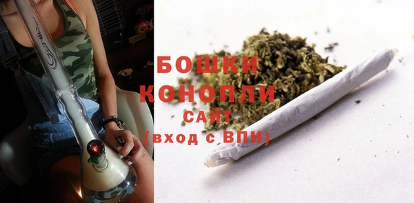 ГАЛЛЮЦИНОГЕННЫЕ ГРИБЫ Арсеньев