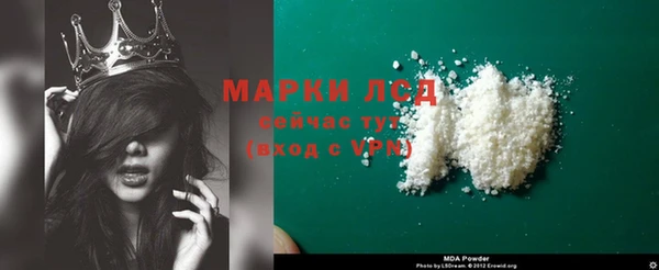 ГАЛЛЮЦИНОГЕННЫЕ ГРИБЫ Арсеньев