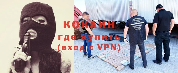 ГАЛЛЮЦИНОГЕННЫЕ ГРИБЫ Арсеньев