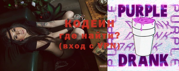 ГАЛЛЮЦИНОГЕННЫЕ ГРИБЫ Арсеньев