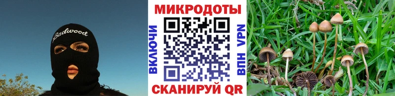 наркотики  Белинский  Псилоцибиновые грибы мицелий 